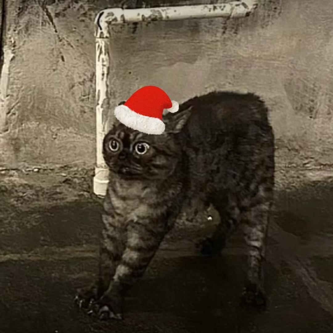 <>