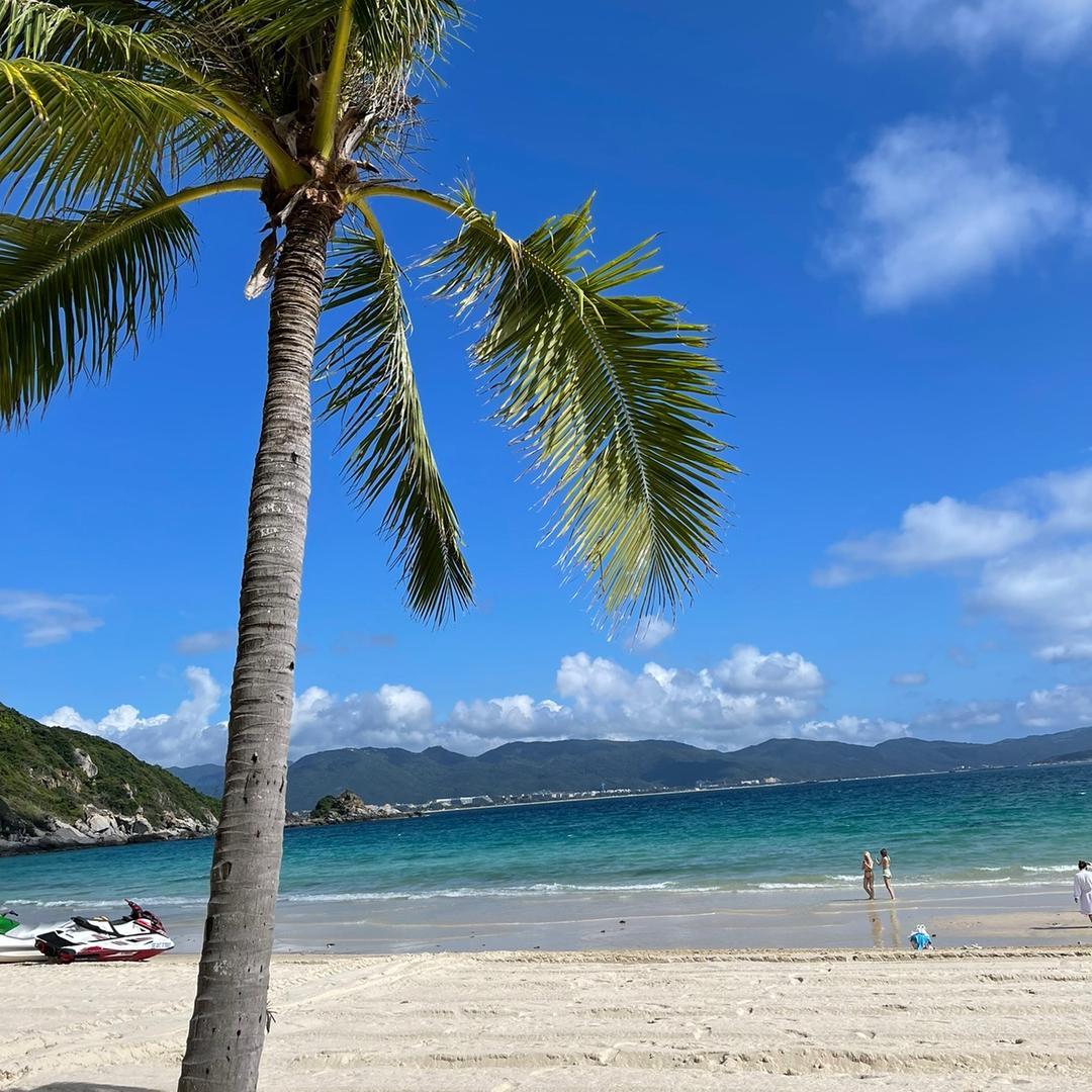 海岸线