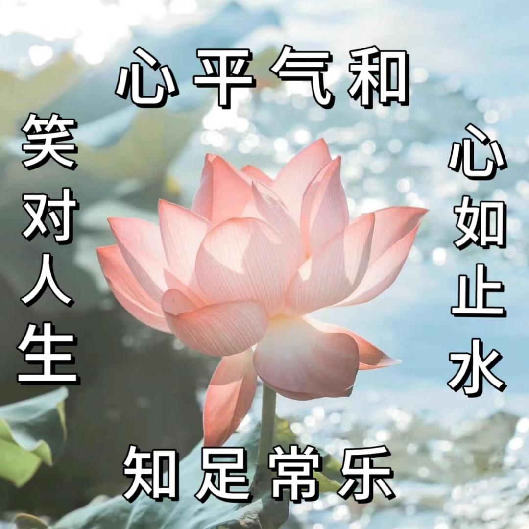 心如止水
