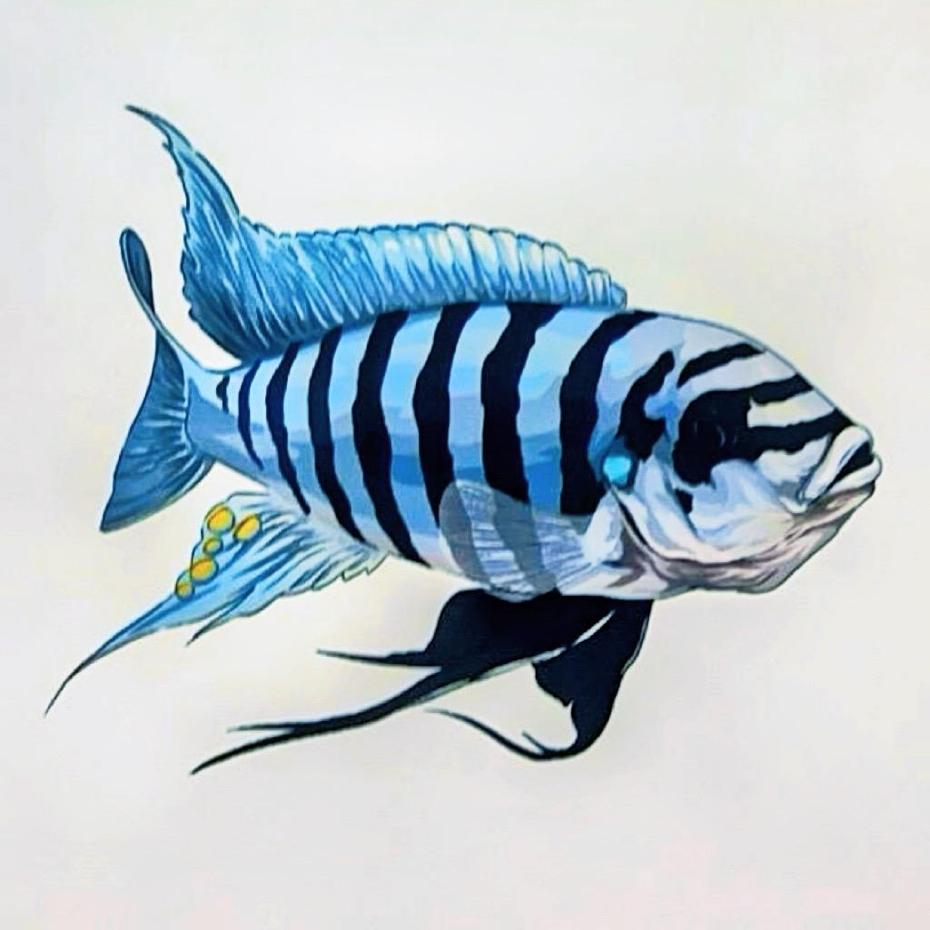 溢彩三湖