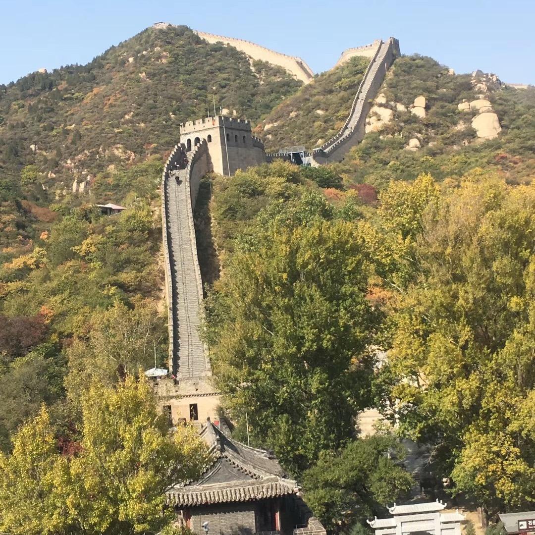 小当家