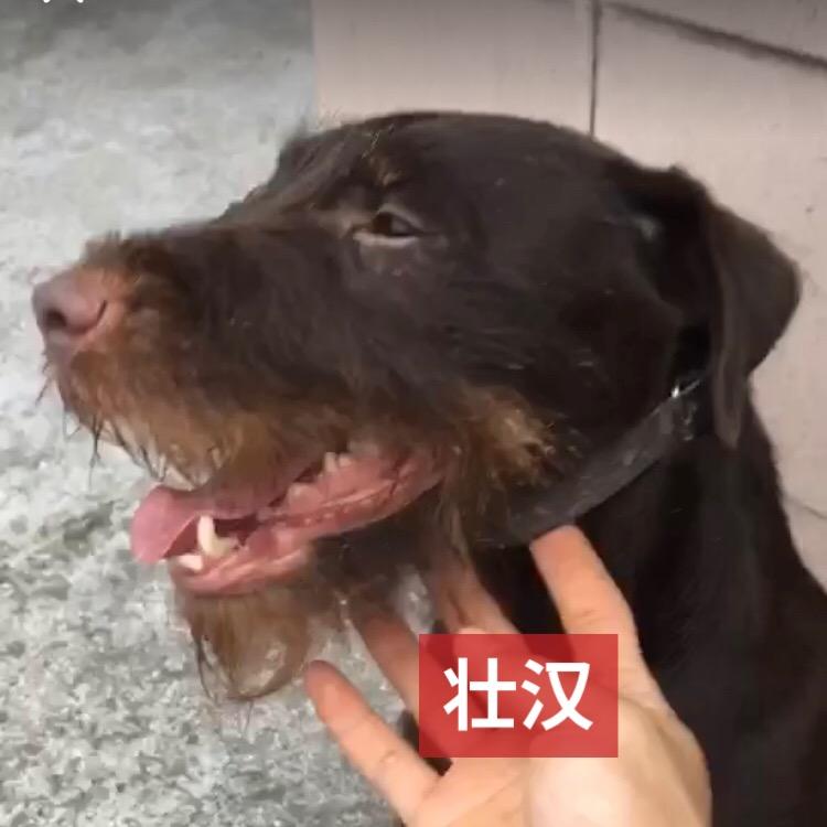 默语