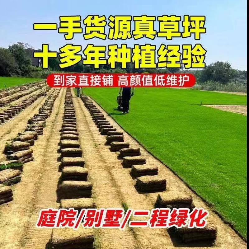 沃嘉景园苗木园艺