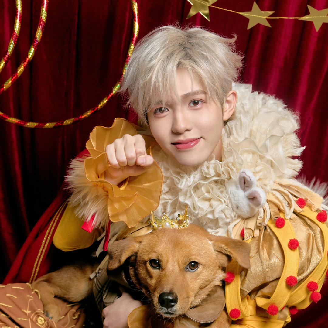 比奇堡著名臭鱼烂虾