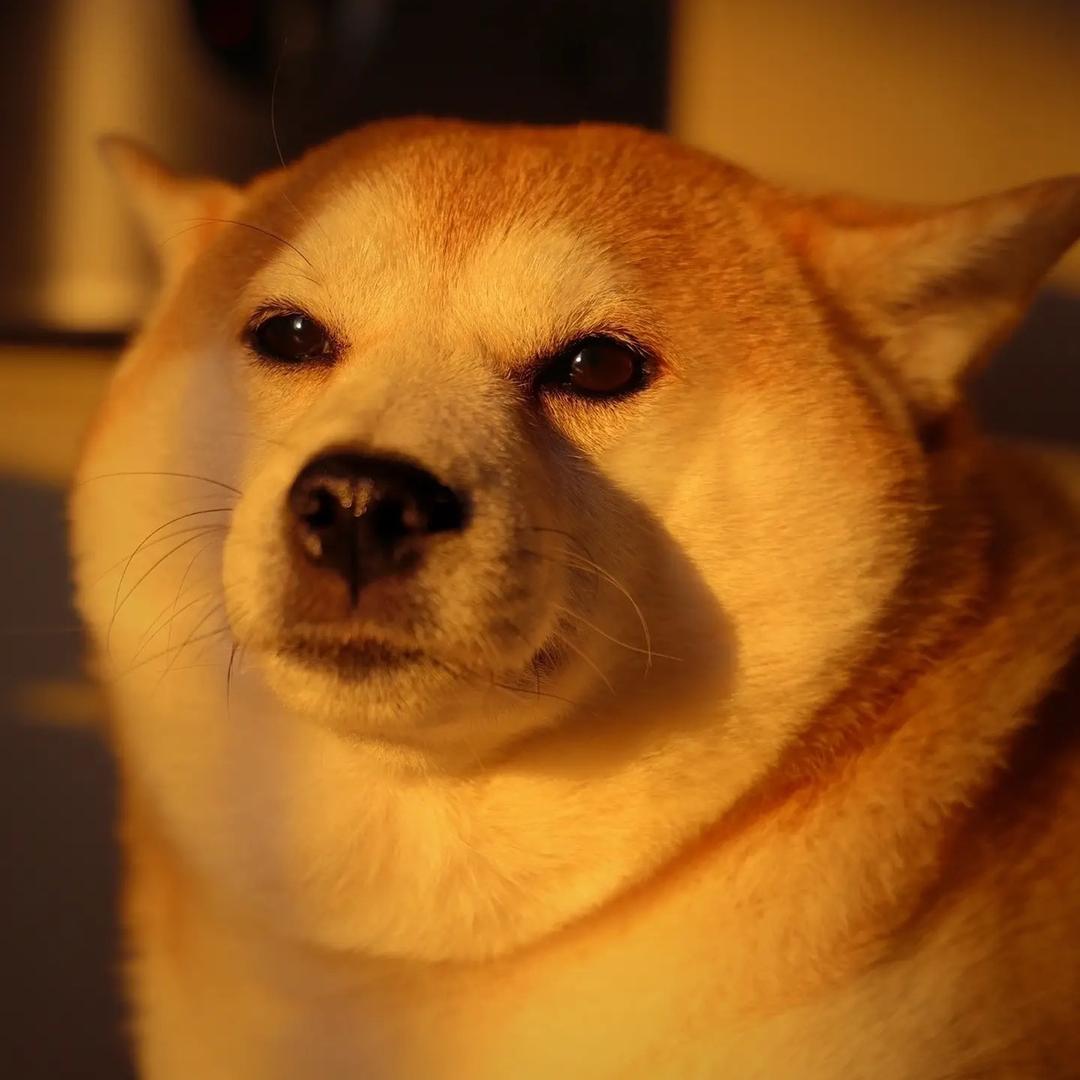 布朗