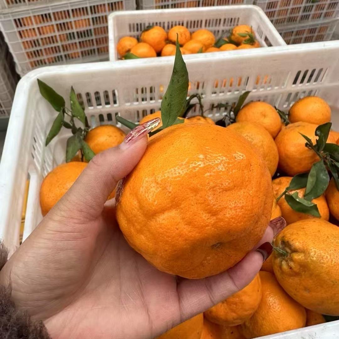 东哥代卖代售