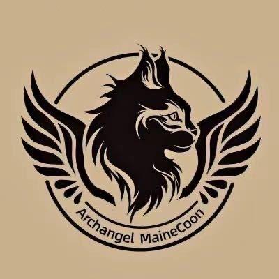 大天使缅因猫舍（AngelStar)