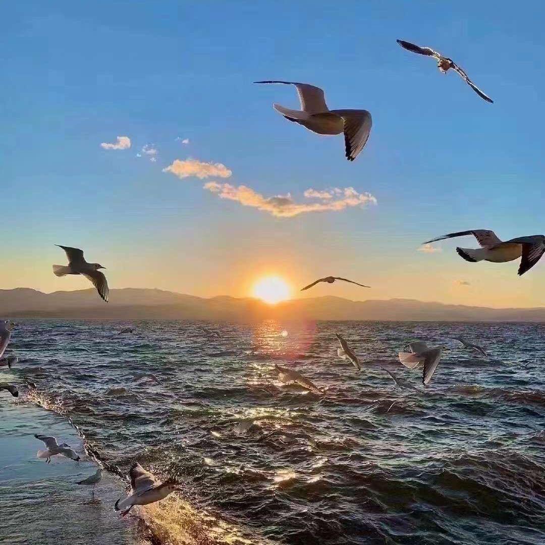 €£}¥花花^穿搭