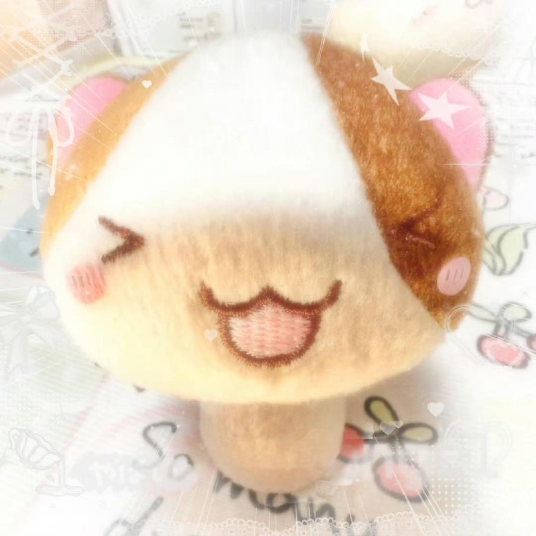 丸什么