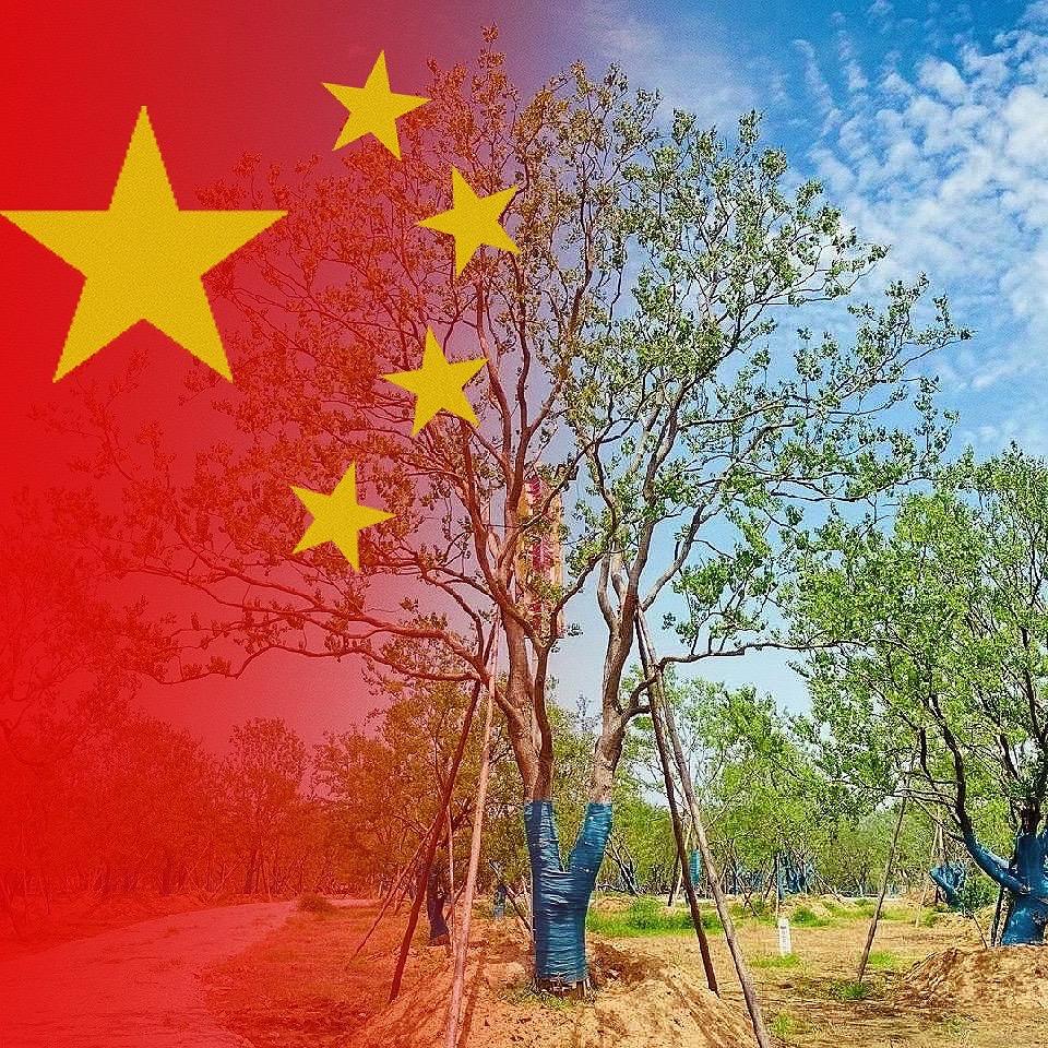 如春