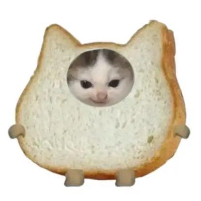再也不咬手