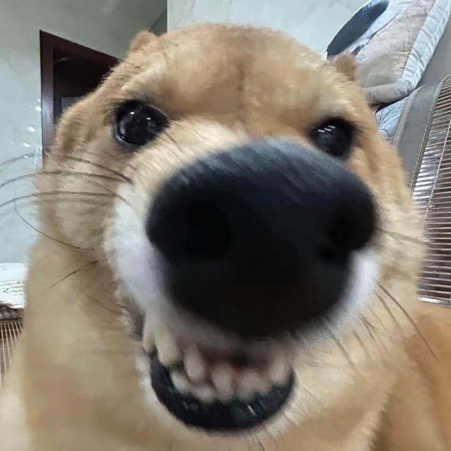 我先尝一口再说😋