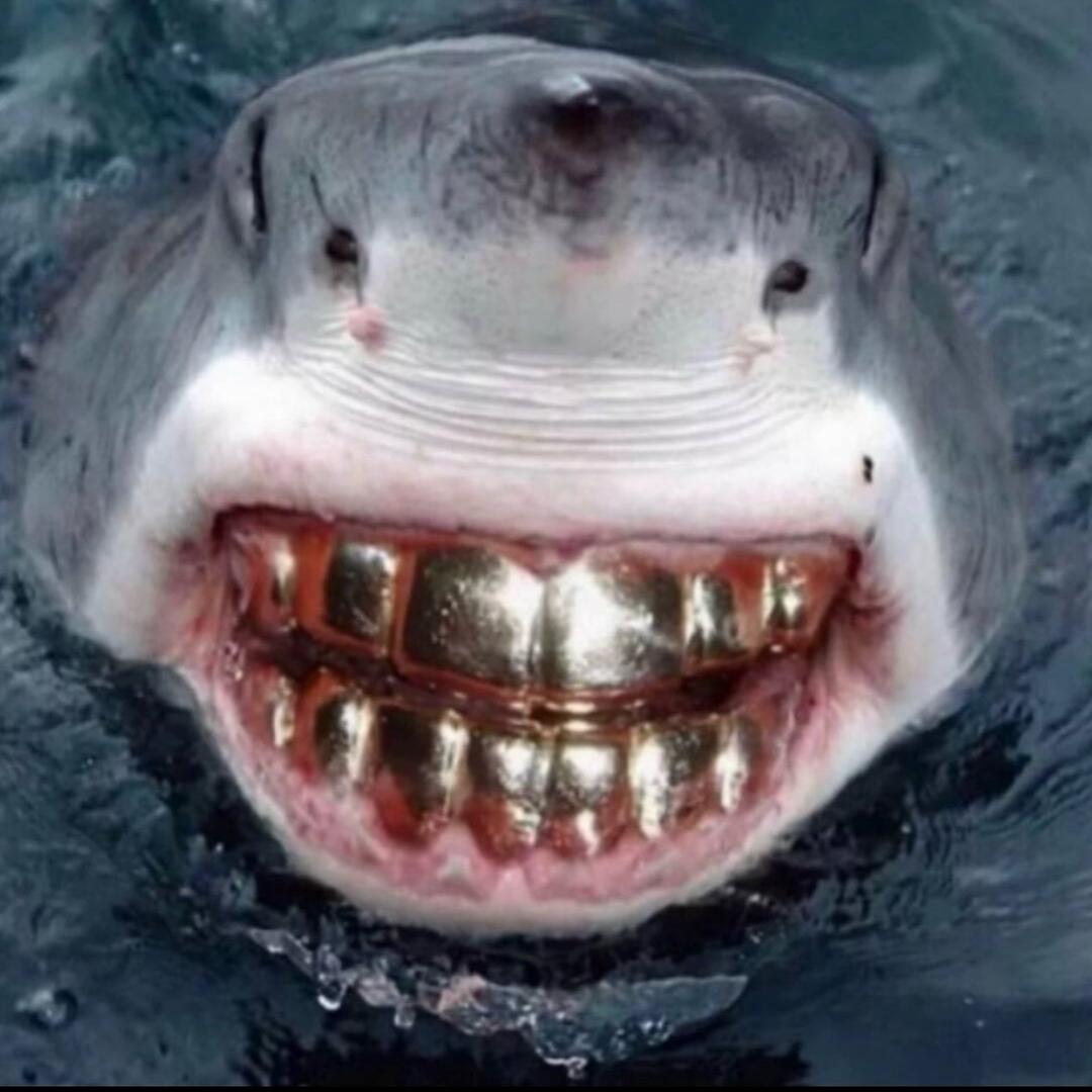 宅男巨婴且爆痘