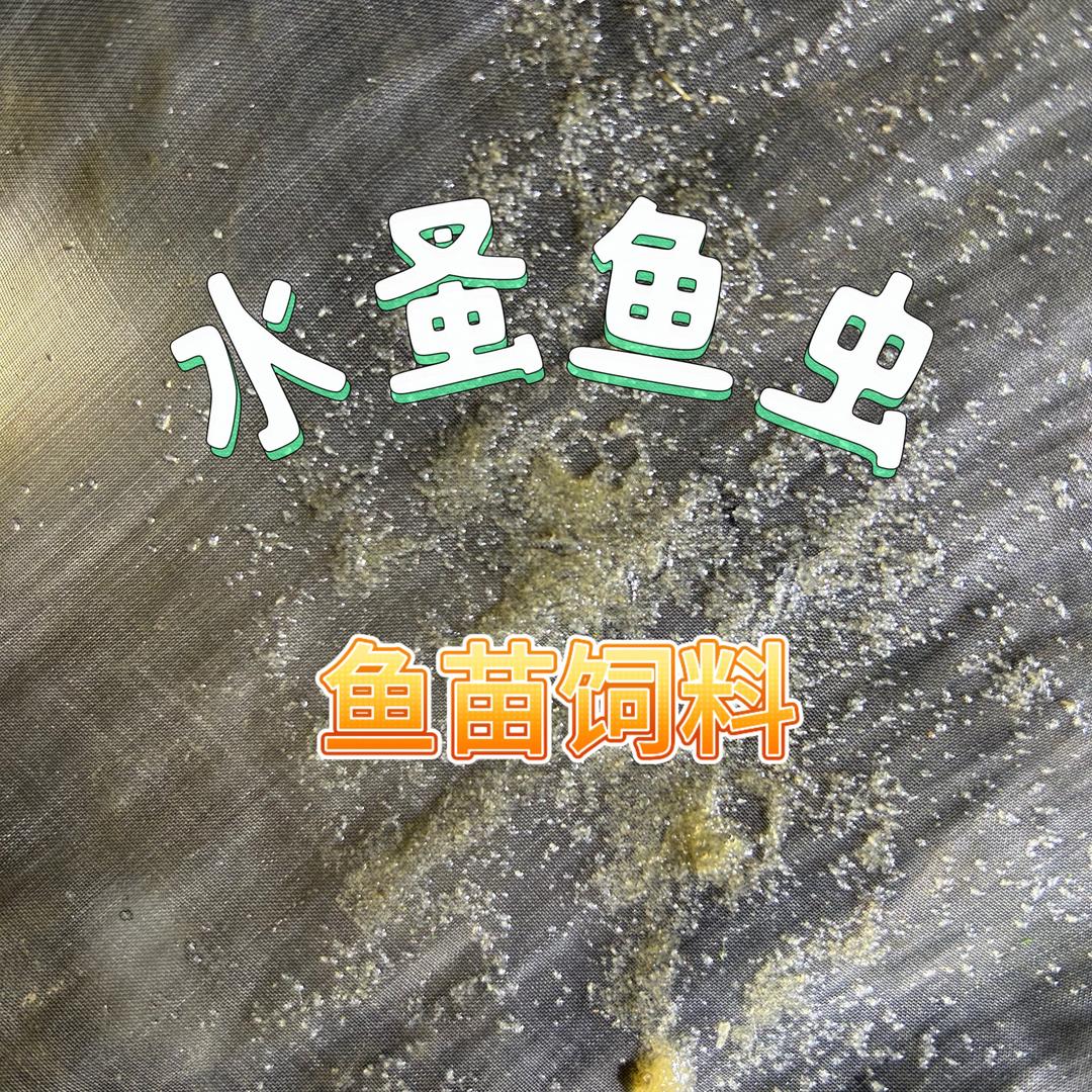 小虾米水蚤鱼虫水珠