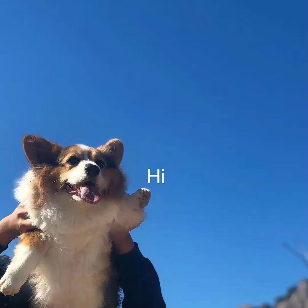 空白，