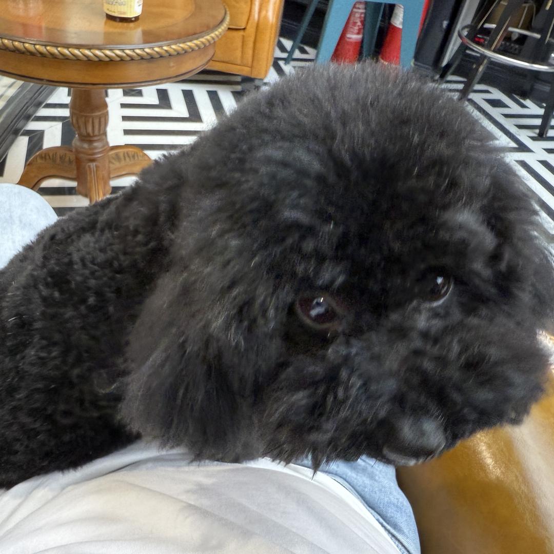 武汉市江夏区伊匡伎百货店（个体工商户）