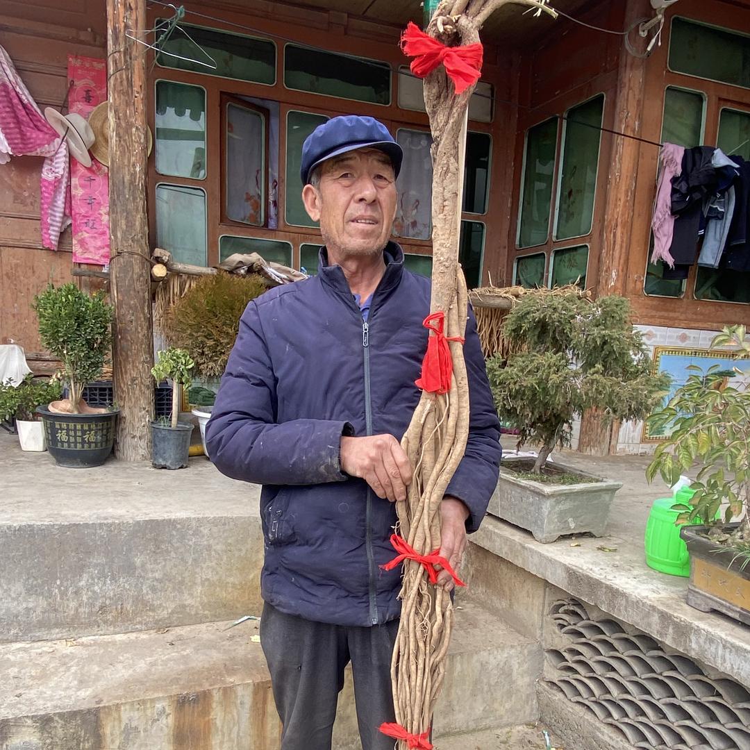 福参堂滋补小铺