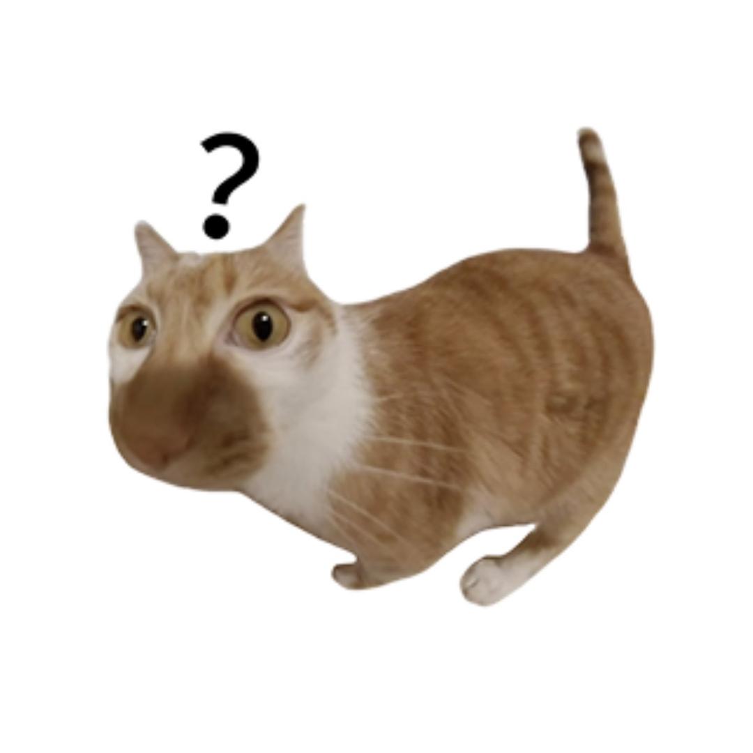 A.z