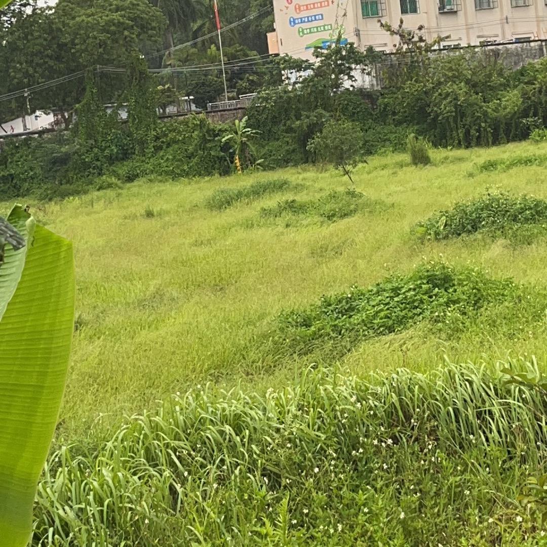 秋天的风