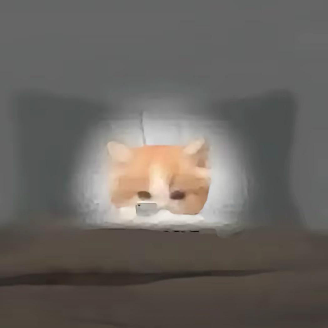 藕椰！（小扁担）