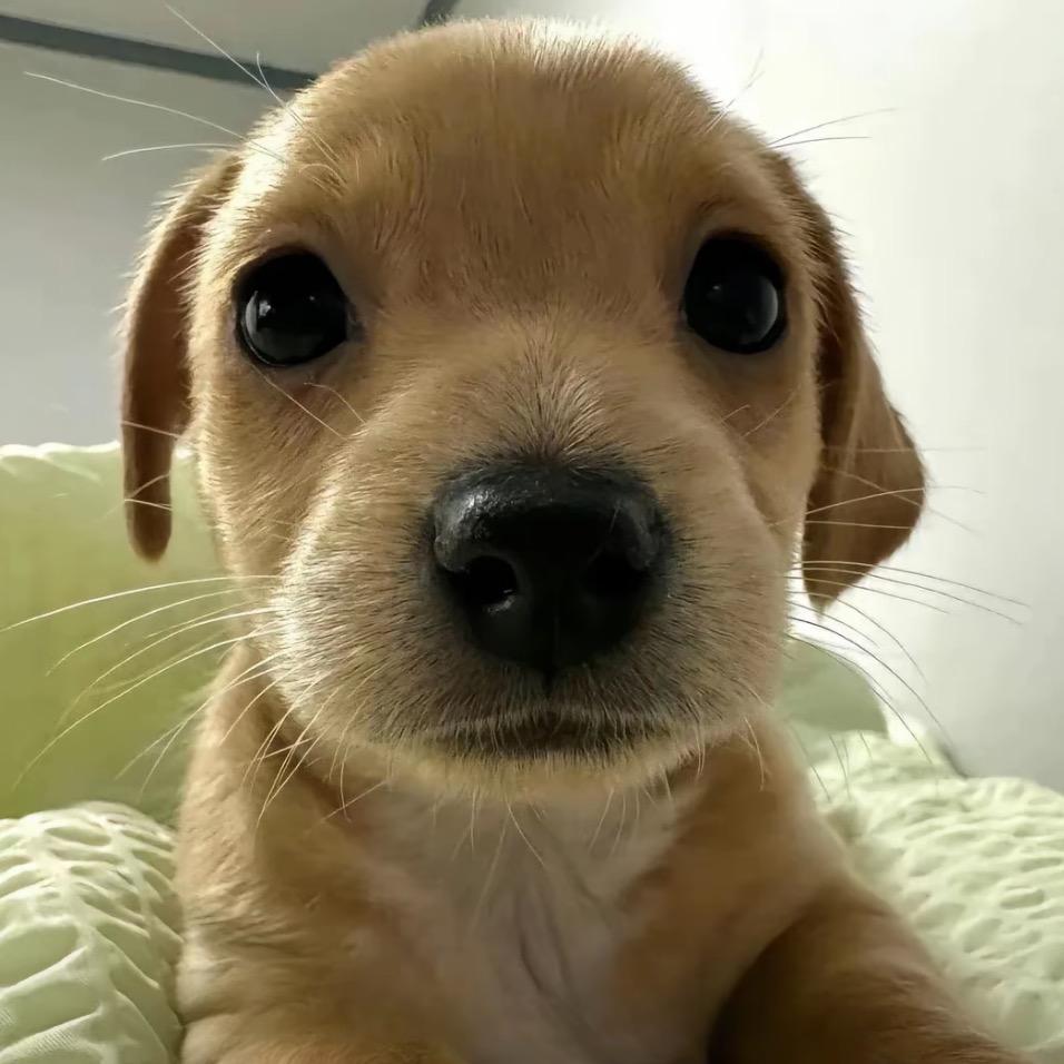 忧郁的塘角村民