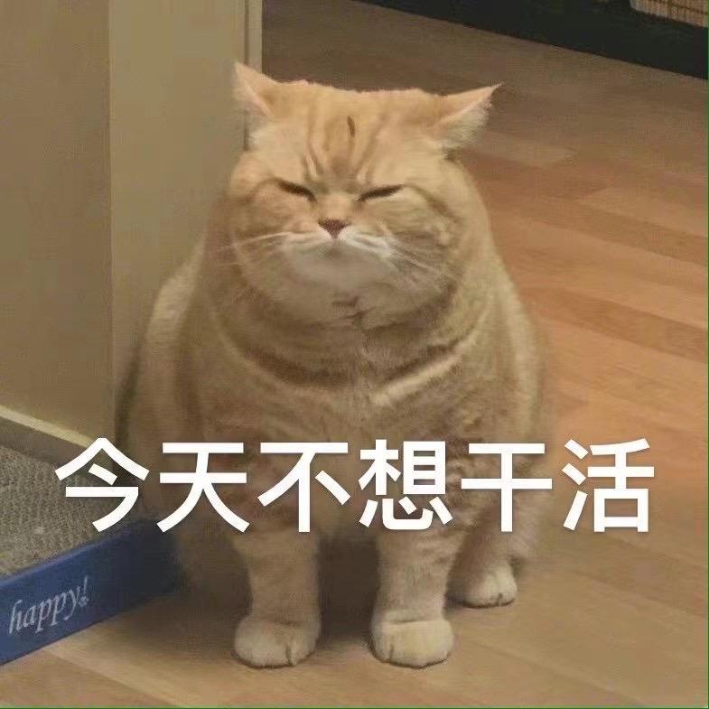 名字不一定要很酷但一定要很长