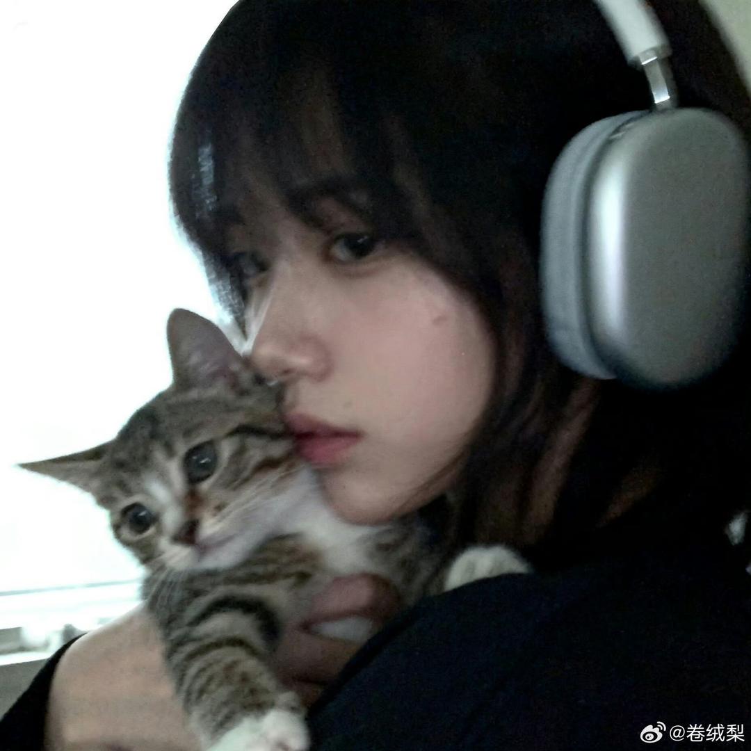 秋刀鱼.