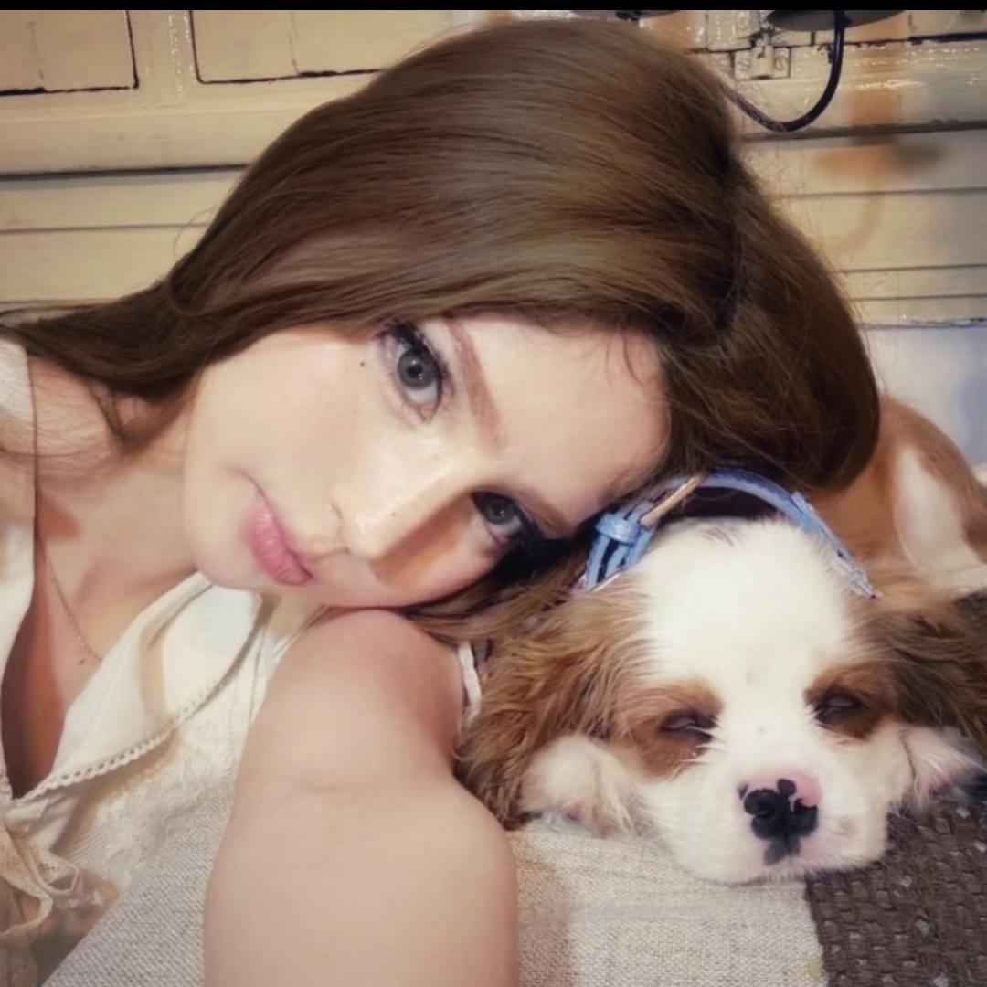 ︋︋ ㅤ︅ ︋︋ ㅤ︅ ︋︋ ㅤ