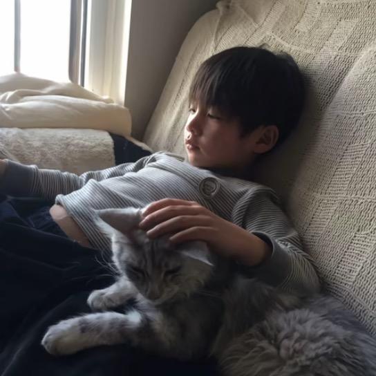 各有所愿