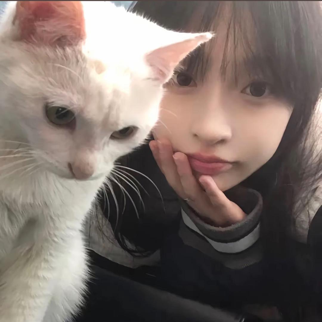 小桐（贴心小直属～）