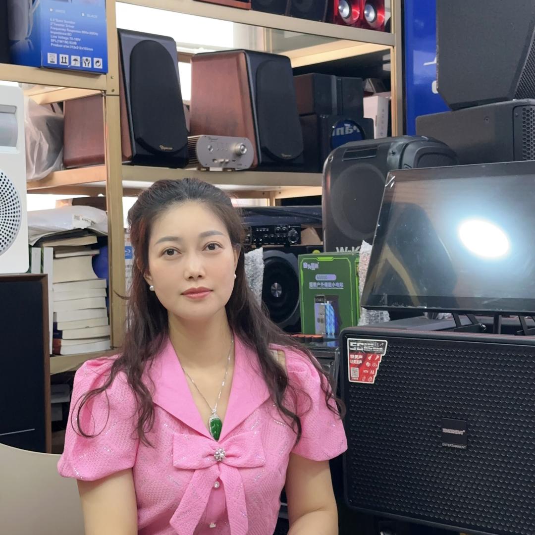 普宁迪思音响