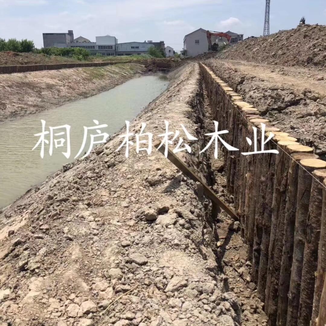 桐庐柏松木业