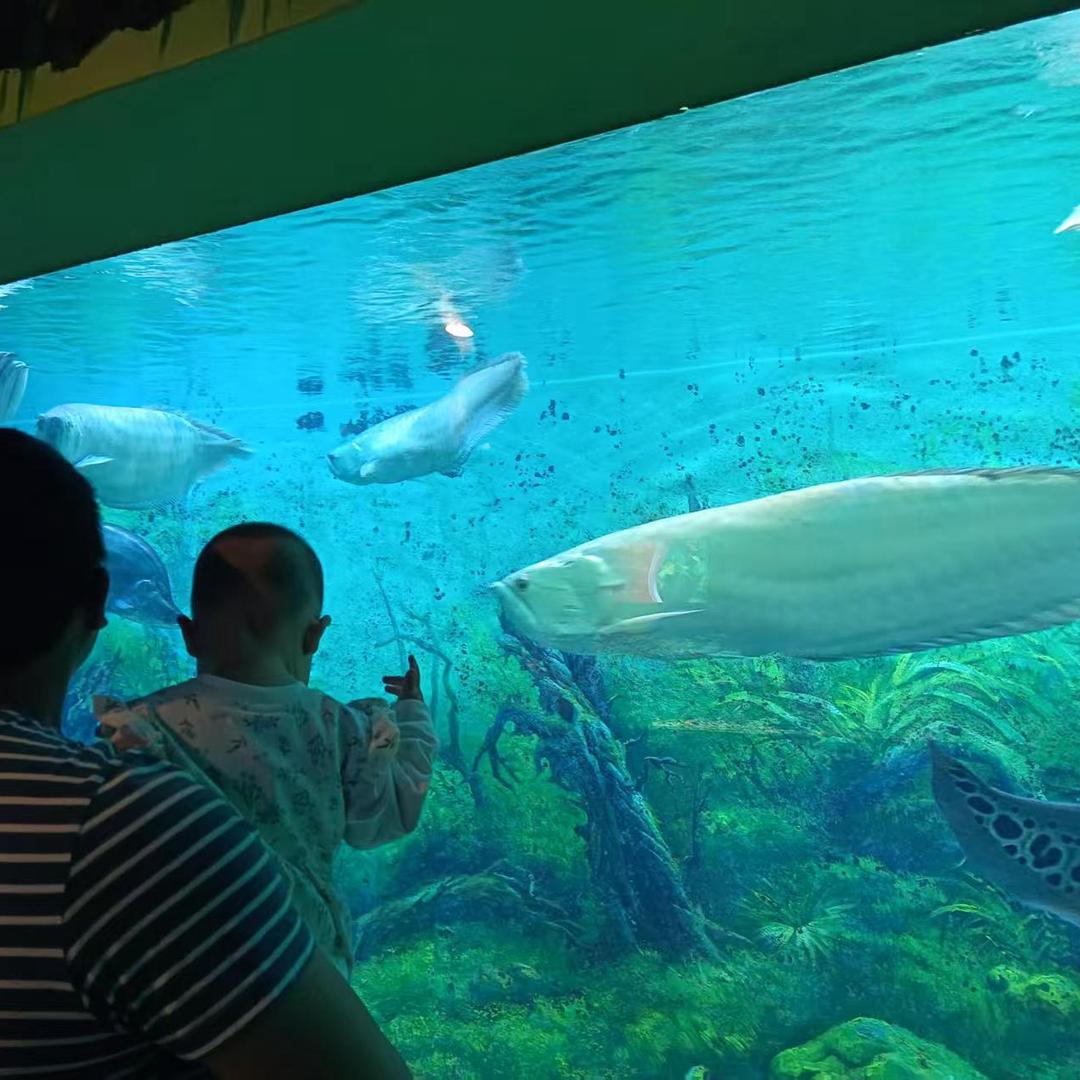 小Yu🐟