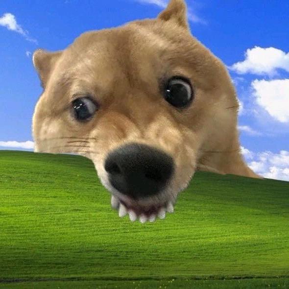 502