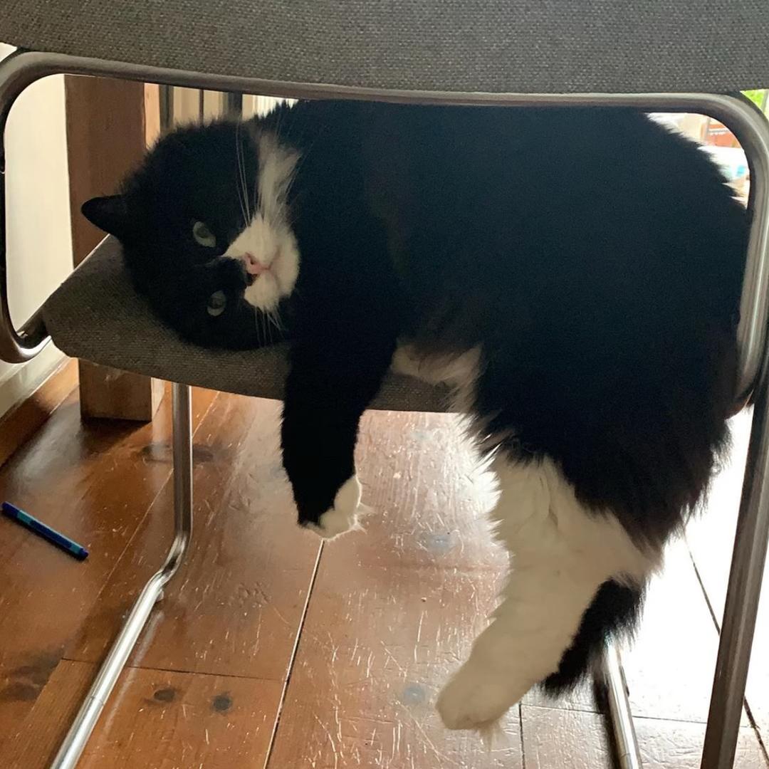 开心猪肠碌