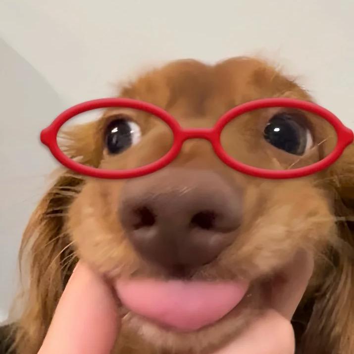 Kin
