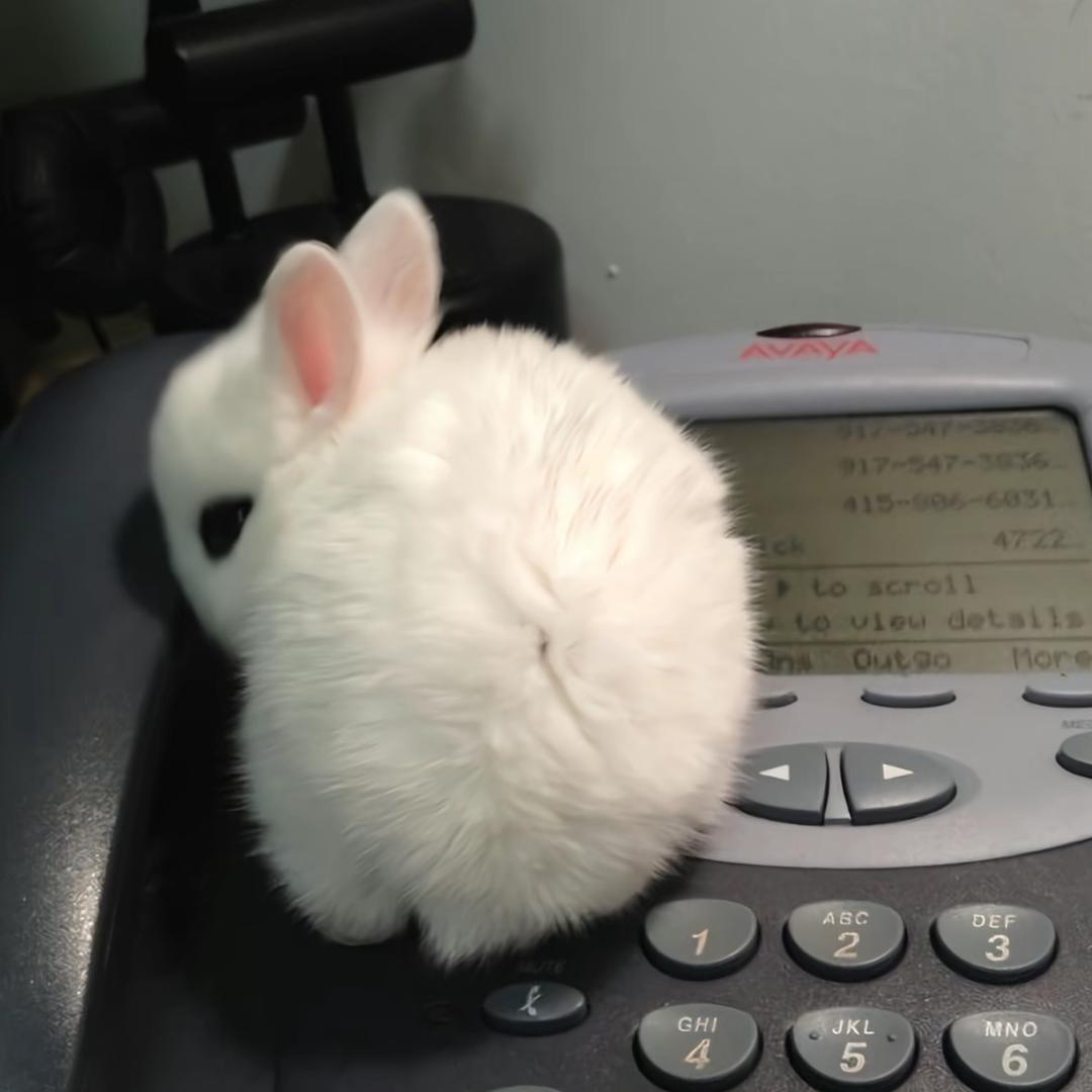 拥抱下