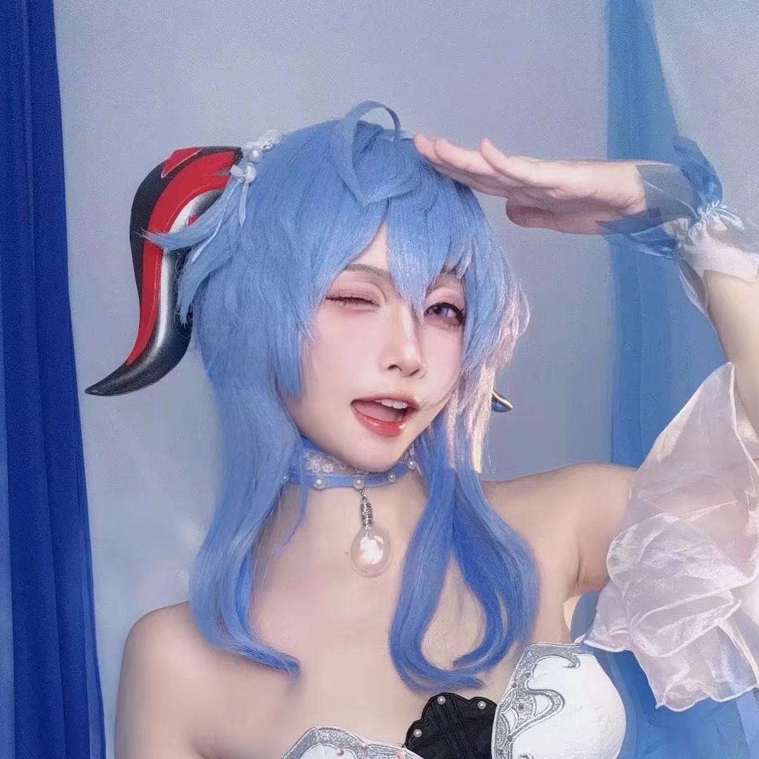 二佐Nisa
