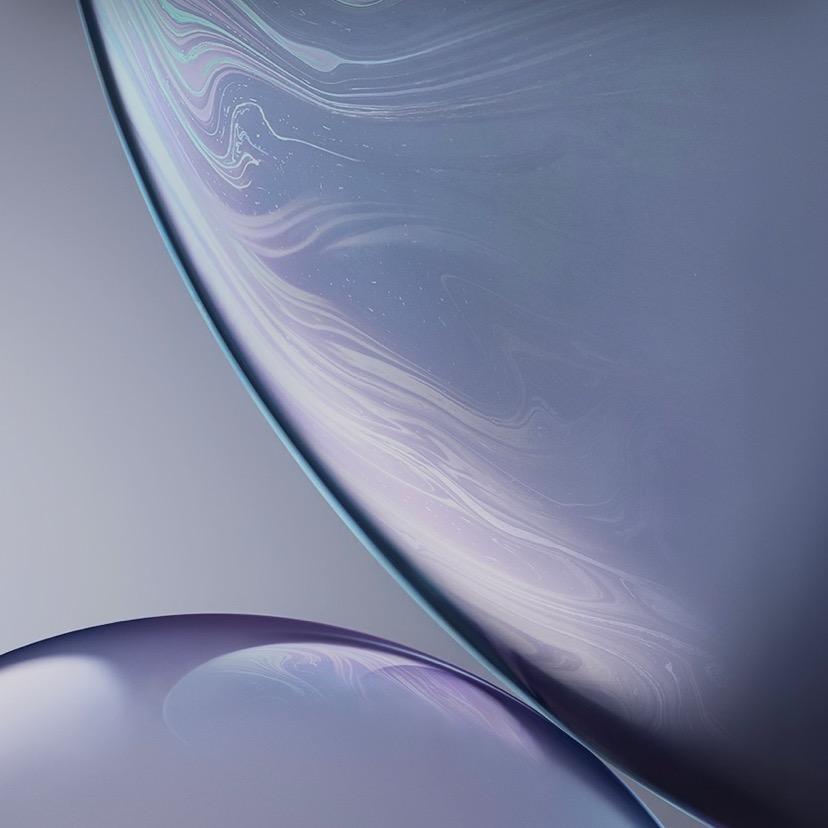 公子1