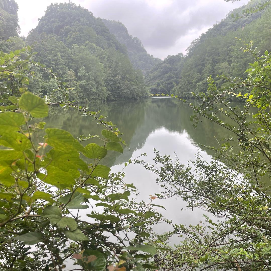 小白与二丫