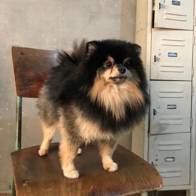 33_在香格里拉旅居