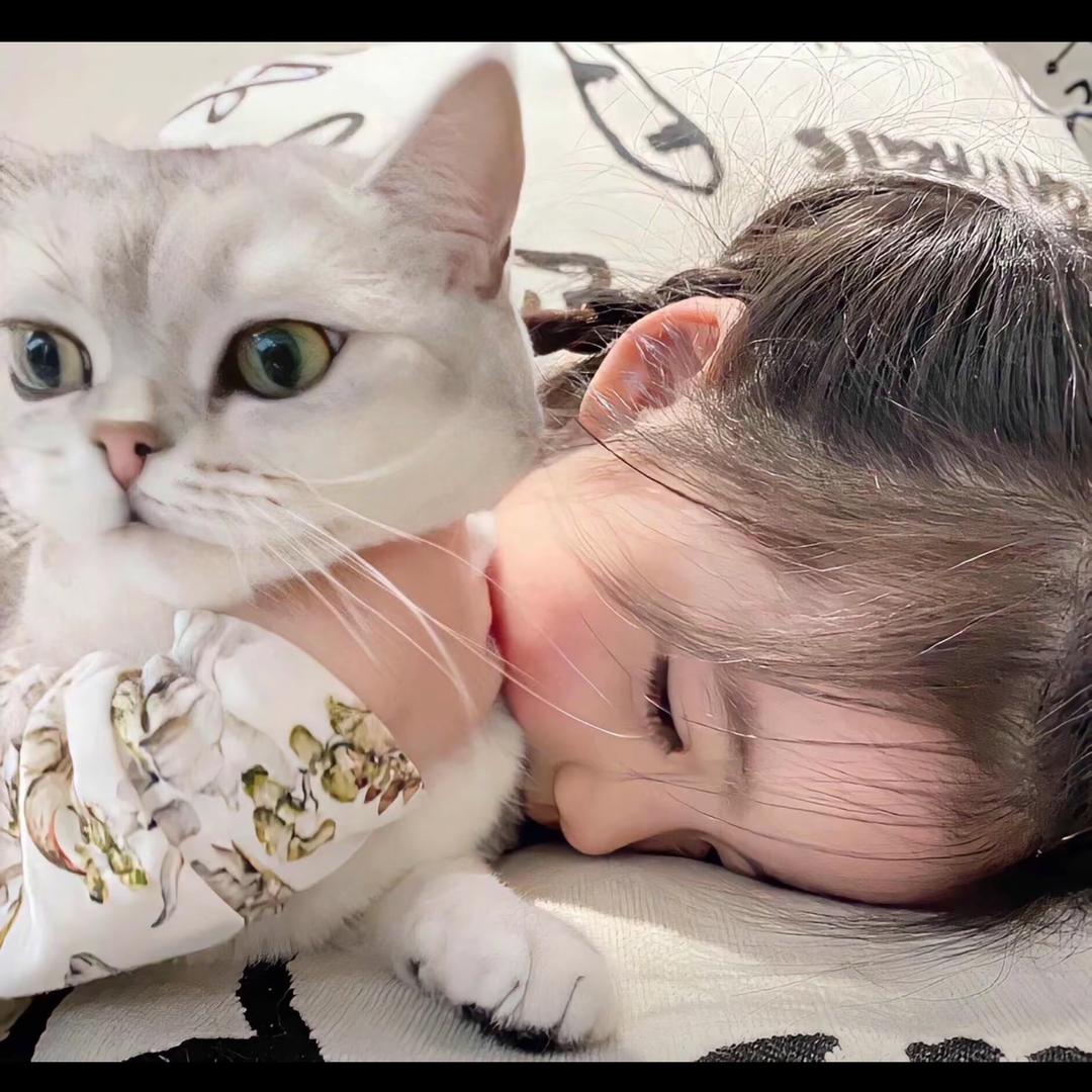 ฅ՞••՞ฅ