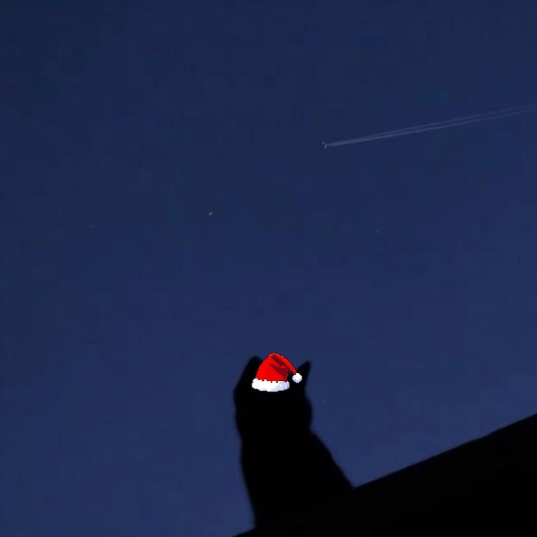 毕竟一生很短，少有圆满🍂