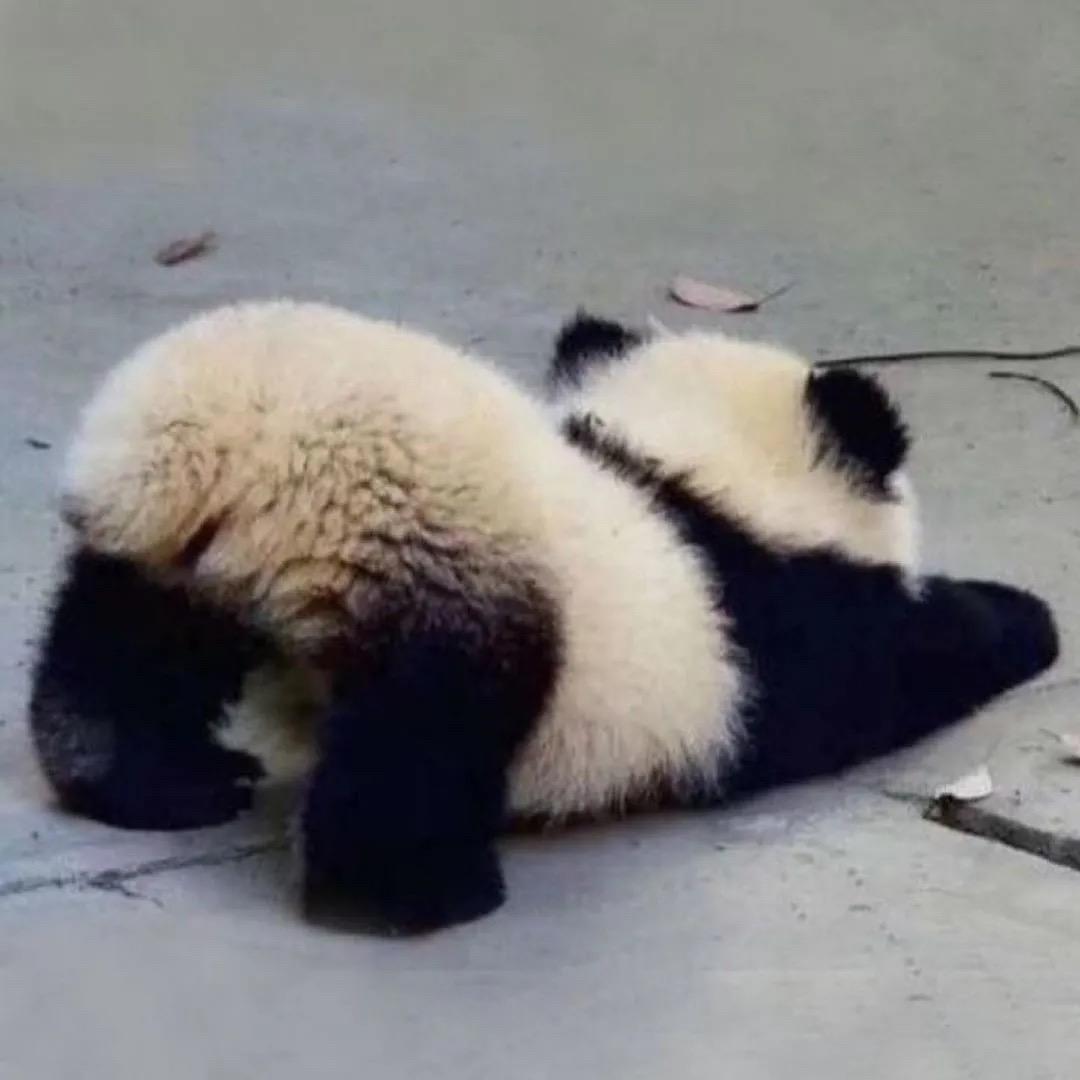 反正