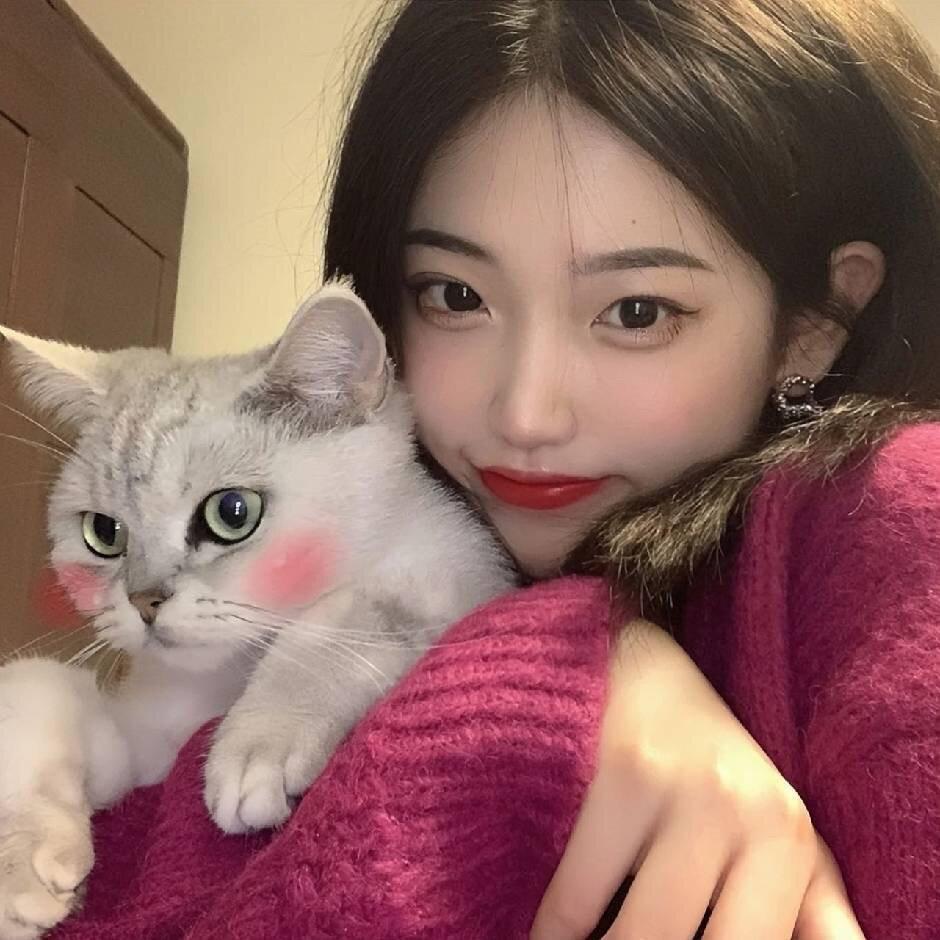 小樱(˵¯͒〰¯͒˵)