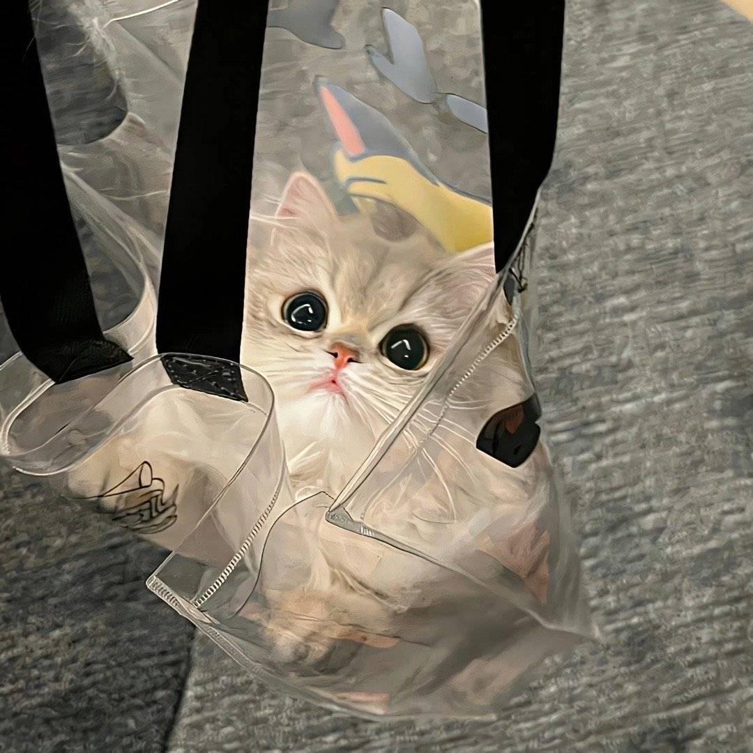 捷伦格林
