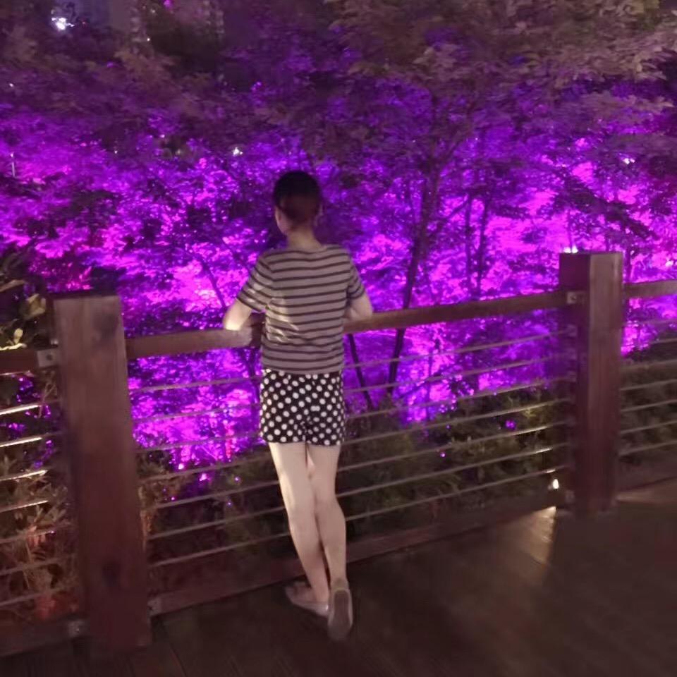 一只楊🪷