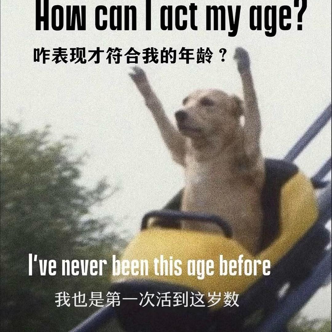 归鹊