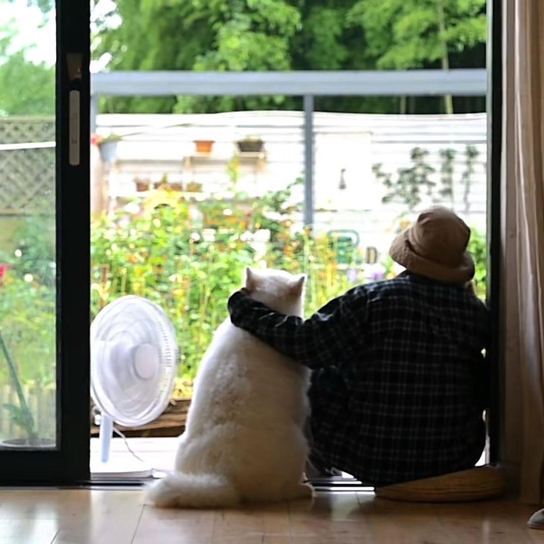 猫叔的院子@抖音