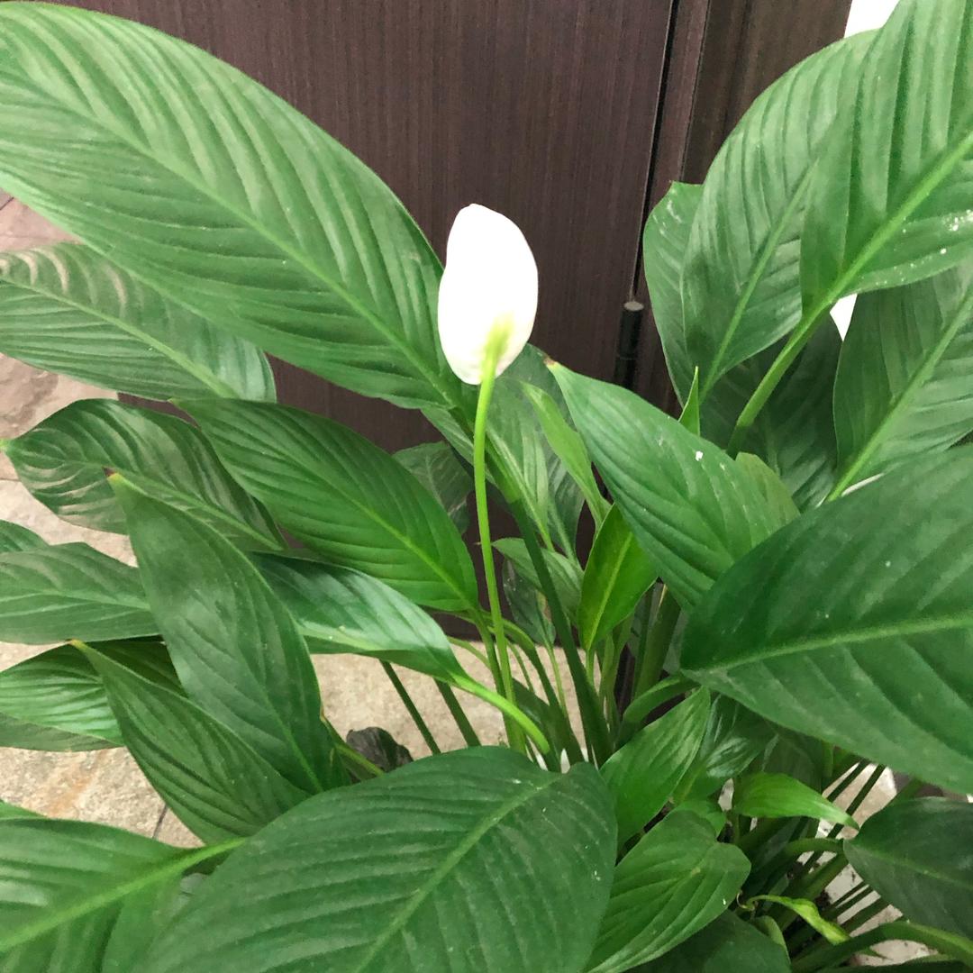 于小雨的健康生活